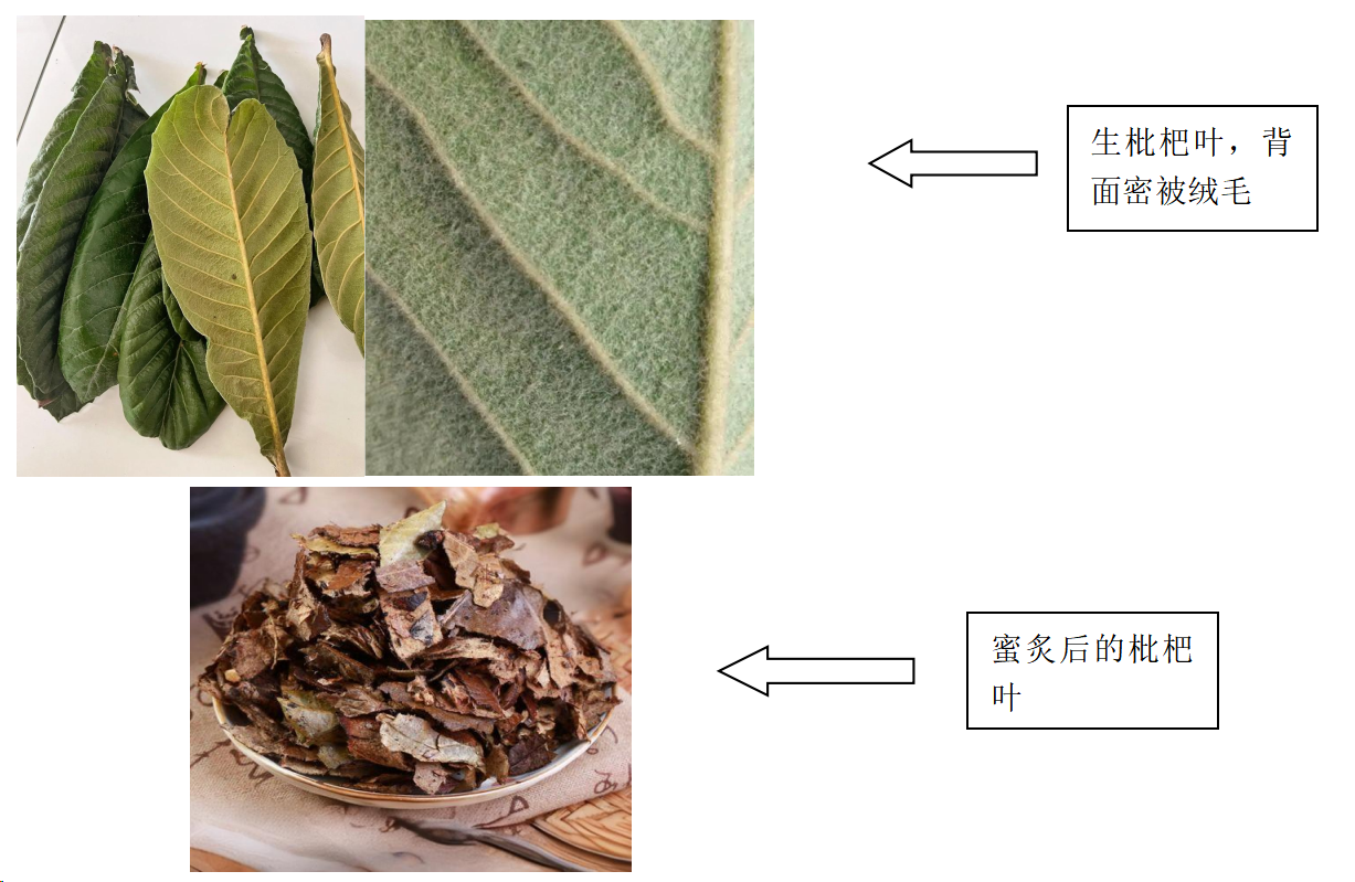 微信图片_20241218171554.png 微信图片_20241218171554.png