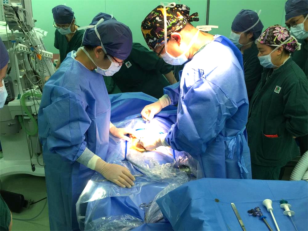 我院成功开展首例经脐单孔腹腔镜下腹股沟斜疝修补术2.jpg 我院成功开展首例经脐单孔腹腔镜下腹股沟斜疝修补术2.jpg