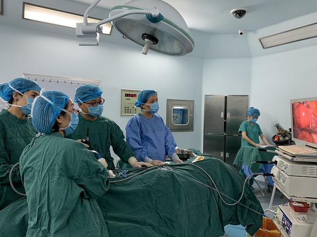 楼建波作为主刀开展手术当中.jpg 楼建波作为主刀开展手术当中.jpg